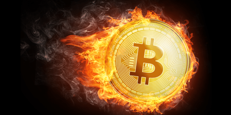 BTC llamas.