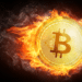 BTC llamas.