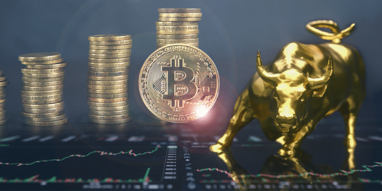 Toro y BTC.