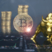 Toro y BTC.