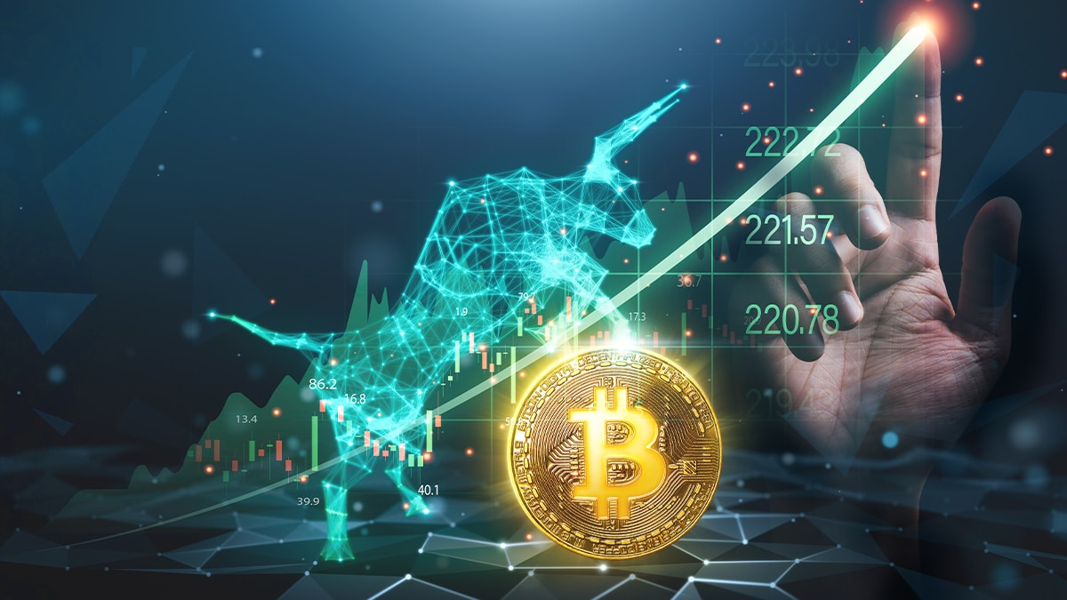 Bitcoin bull season is back Bitcoin bull season is back