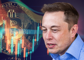 Elon Musk y BTC con gráficos.