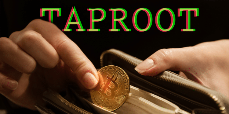 Taproot y monederos de BTC.