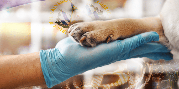 Veterinario de El Salvador pagado con BTC.