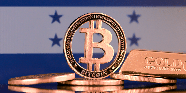 Los rumores sobre la adopción de bitcoin en Honduras corrieron durante toda esta semana. Fuente: promesaartstudio
 / adobe.stock.