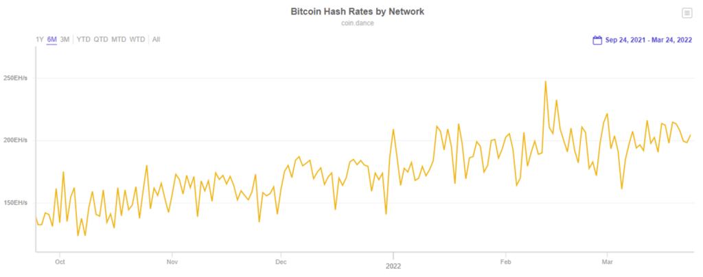 EL hashrate de Bitcoin  entre 2021 y 20022 - Mejores mineros ASIC de Bitcoin en 2022