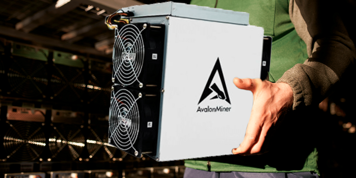 Minero Avalon Miner.