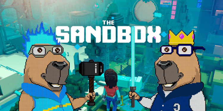 The Sandbox de Chiguireland.