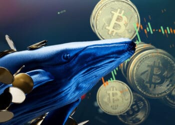la acumulación de bitcoin por parte de las ballenas podría ser una buena señal para el mercado