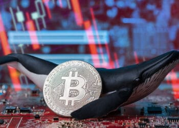 El comportamiento de las ballenas de bitcoin impacta en el mercado. Composición por CriptoNoticias. Eddie Cloud/ stock.adobe.com; daily_creativity/ stock.adobe.com