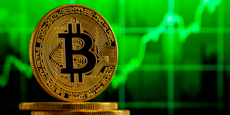 Bitcoin estaría tocando fondo de acuerdo a los datos on-chain. Composición por CriptoNoticias. Fuente: beto_chagas / adobe.stock.com.