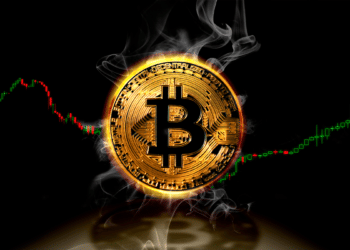 Los inversionistas se preguntan cuál es el fondo de bitcoin en este mercado bajista. Fuente: