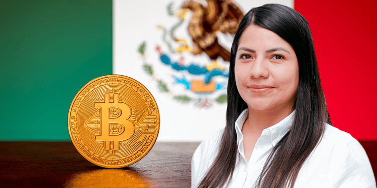 La senadora Indira Kempis ajusta su propuesta y agrega bitcoin para que sea aceptada como moneda de curso legal en México. Composición por CriptoNoticias. Fuente: senadoresciudadanos.mx / Pawel Litwin / stock.adobe.com.