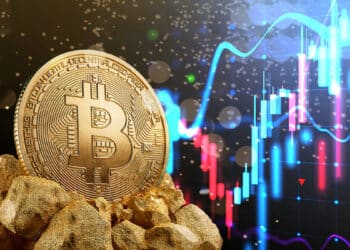 Bitcoin pasó los 23.000 dólares por primera vez desde hace más de un mes. Composición por CriptoNoticias. Who is Danny/ stock.adobe.com;