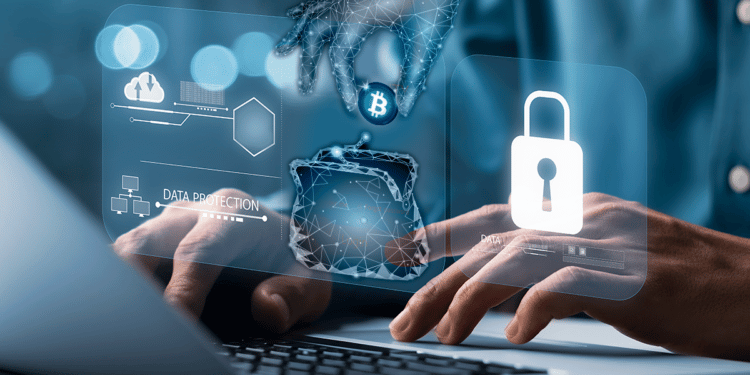 Diferentes categorías de carteras de criptomonedas atienden a usuarios con diferentes requerimientos. Composición por CriptoNoticias. Fuente: LuckyStep ; Thapana_Studio / stock.adobe.com / pngegg.com.