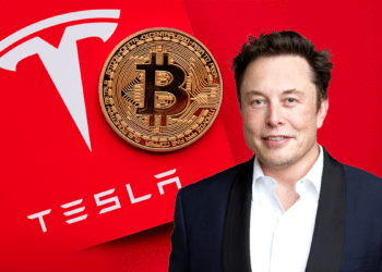 Elon Musk junto al logo de Tesla y un bitcoin.