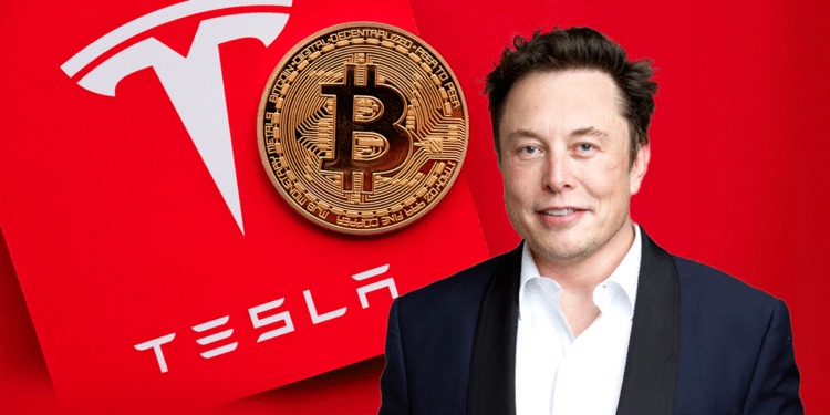 Elon Musk junto al logo de Tesla y un bitcoin.
