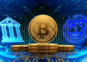 Banco Central de Argentina, FMI y BTC.
