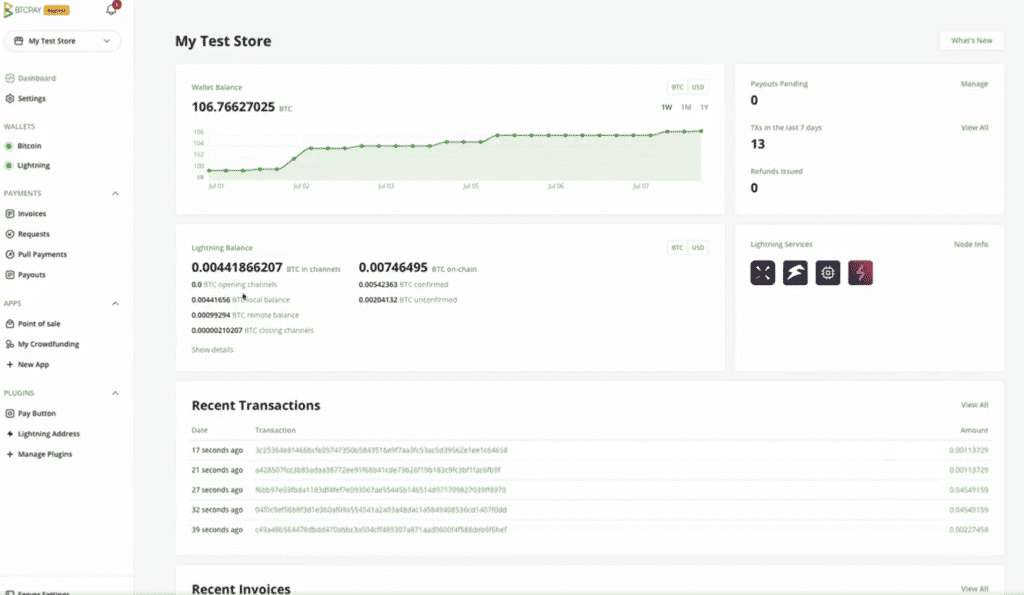 BTCPay puts all its tokens for the adoption of the Bitcoin Lightning Network