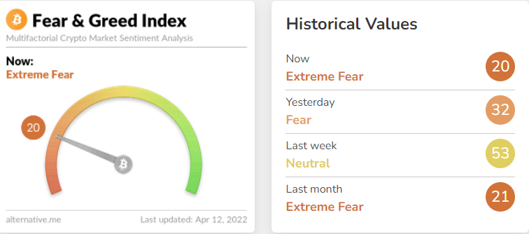 Fear takes over the market, but will bitcoin continue to fall?