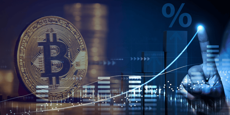 El precio de bitcoin pierde su valor como cobertura contra la inflación en este mercado bajista, aunque lo recuperaría según algunos análisis. Composición por CriptoNoticias. Fuente: sasun Bughdaryan ; Miha Creative ; fox17 / stock.adobe.com.