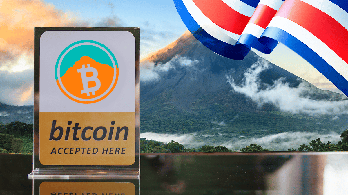 Así va la transformación económica de la ciudadela Bitcoin Jungle de Costa  Rica