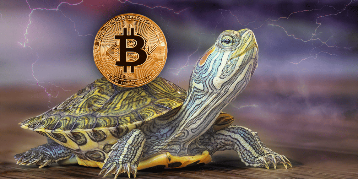 Tortuga con relámpagos y bitcoin