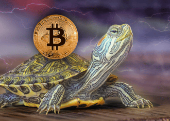 Tortuga con relámpagos y bitcoin