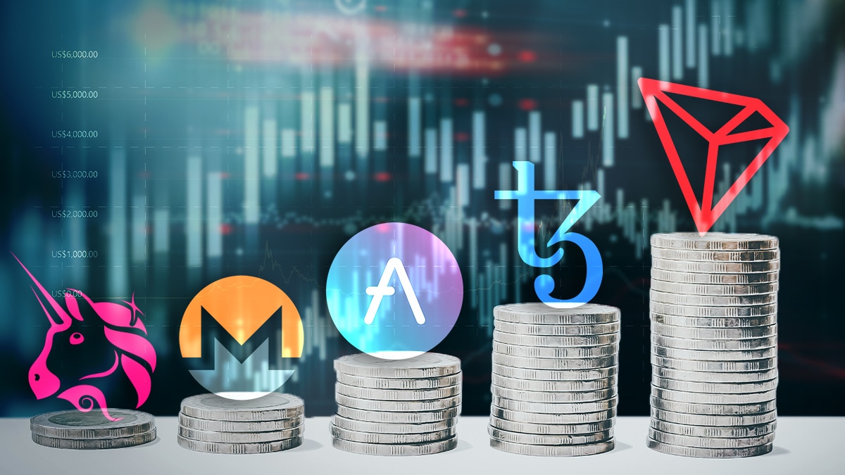 Tron and Tezos lead the top cryptocurrencies while bitcoin fails to recover Tron and Tezos lead the top cryptocurrencies while bitcoin fails to recover
