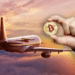 Migración venezolana posible gracias a Bitcoin.
