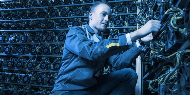 Una persona es vista conectando mineros de bitcoin en una granja.