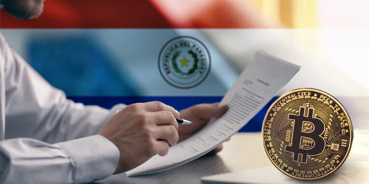 La red distribuida soberana de Paraguay es la base de la digitalización del país suramericano. Composición por CriptoNoticias. Africa Studio/ stock.adobe.com; corvalola/ stock.adobe.com; Tomasz Zajda/ stock.adobe.com