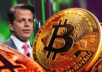 Anthony Scaramucci y bitcoins con gráfico verde.