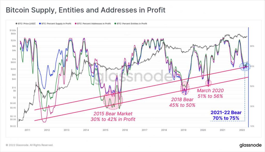 bitcoin entities and addresses in profit