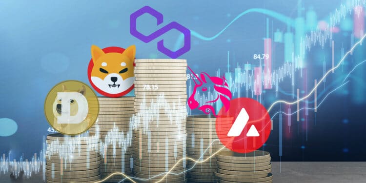 Luego de haber perdido hasta 60% de sus ganancias, algunas criptomonedas empiezan a recuperar su valor. Composición por CriptoNoticias. Who is Danny/ stock.adobe.com; Cyptologos.cc; Who is Danny/ stock.adobe.com