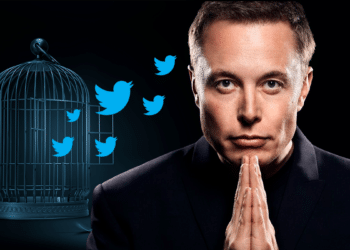 Muchos esperan que Elon Musk vuelva a Twitter el espacio de "la libertad de expresión". Composición por CriptoNoticias. Fuente: cronista.com / Mopic / adobe.stock.com / pngegg.com.