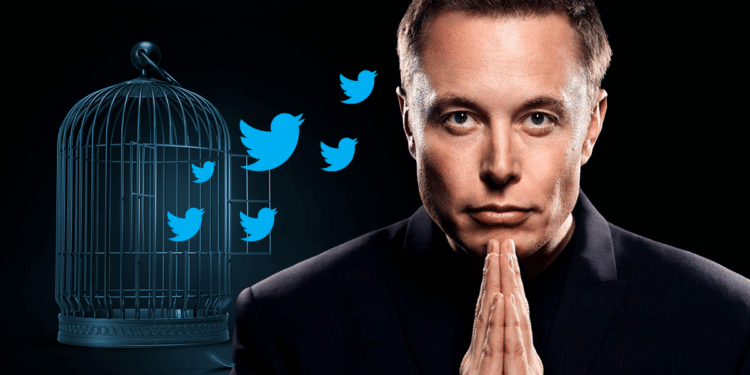 Muchos esperan que Elon Musk vuelva a Twitter el espacio de "la libertad de expresión". Composición por CriptoNoticias. Fuente: cronista.com / Mopic / adobe.stock.com / pngegg.com.