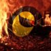 Moneda Terra prendida en fuego