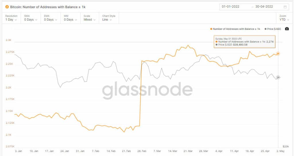 aumento de direcciones con más de 1000 bitcoins