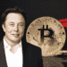 Elon Musk es cuestionado por vender casi todos los bitcoins de Tesla. Composición por CriptoNoticias. Fuente: wikipedia.org / BillionPhotos.com / stock.adobe.com.