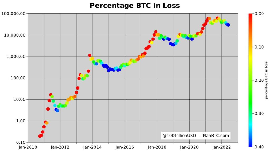 Porcentaje de Bitcoin en pérdida.