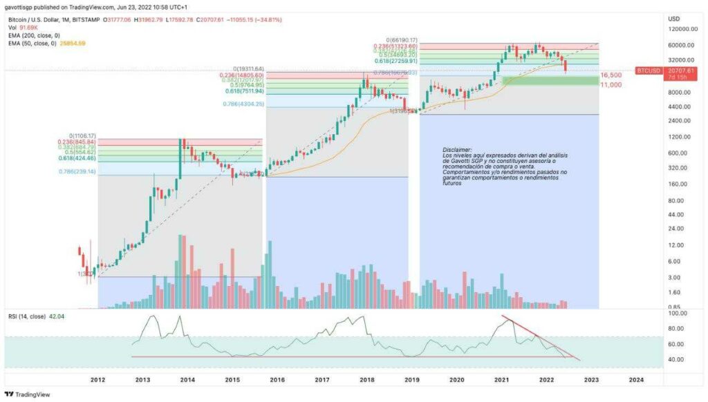 Could Bitcoin go down again? Expert believes that the bottom is at USD 12,000