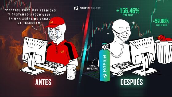 Proyecto “Magic Entry”: cómo vencí al mercado bajista e hice un 156% de ganancias