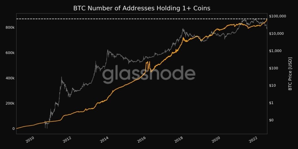 gráfico muestra aumento en la cantidad de direcciones de bitcoin con más de 1 BTC que sobrepasan las 800.000