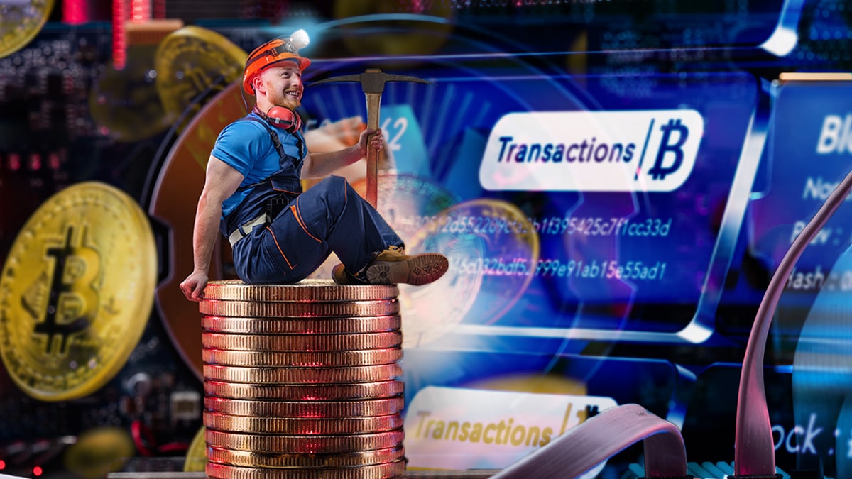 Fees keep Bitcoin miners afloat in bear market Fees keep Bitcoin miners afloat in bear market
