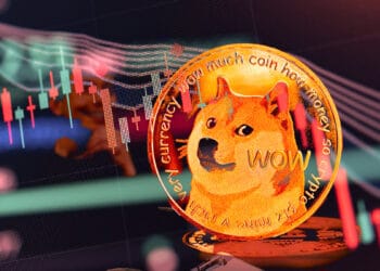 Dogecoin ha descendido 93% desde su máximo precio histórico