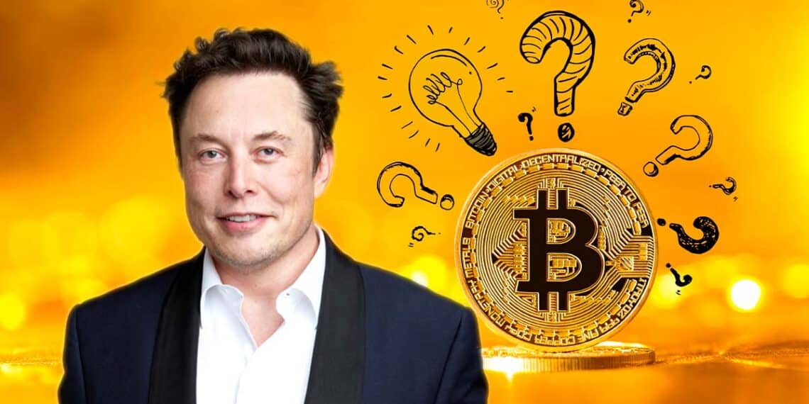 Elon Musk junto a Bitcoin.