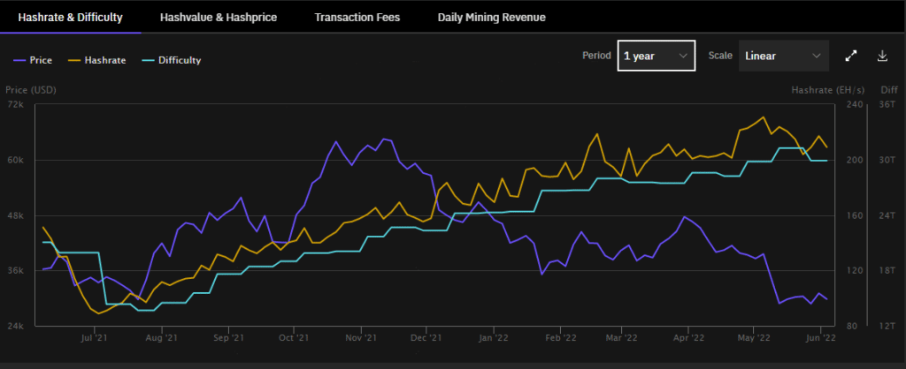 graph shows bitcoin hasrate increase in the last year