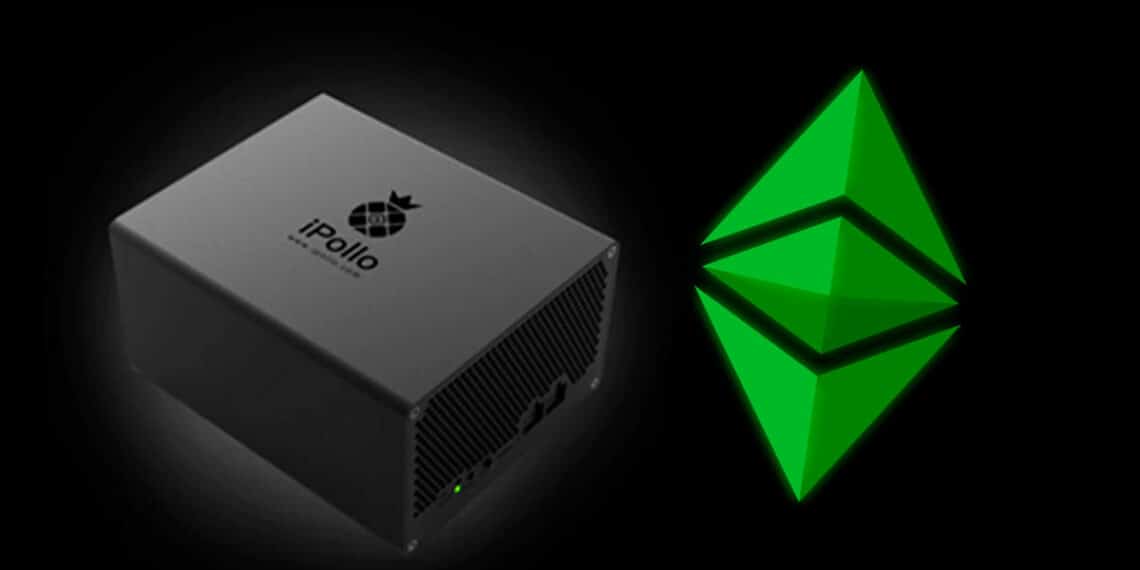 Minero iPollo para Ethereum Classic.