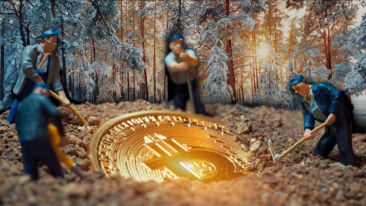 4 estrategias de los mineros de Bitcoin para sobrevivir al mercado bajista